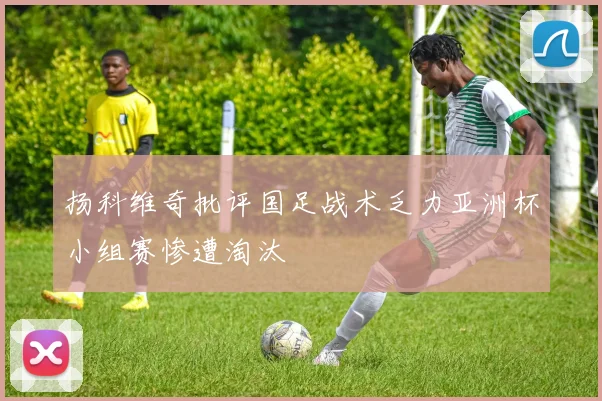扬科维奇批评国足战术乏力亚洲杯小组赛惨遭淘汰